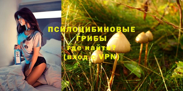 apvp Ладушкин