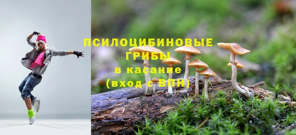 таблы Лабытнанги