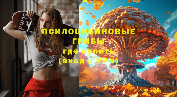 apvp Ладушкин