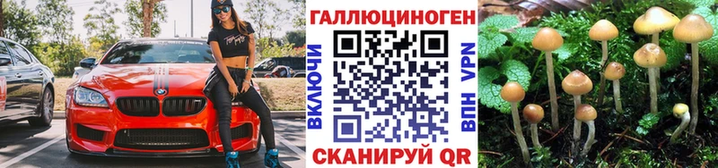 Псилоцибиновые грибы мицелий  Псков 