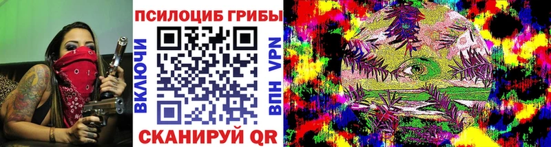 Псилоцибиновые грибы Psilocybe Псков