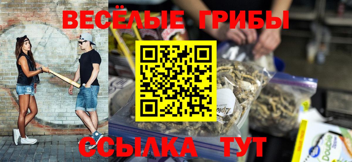 Псков  Вход с VPN  ГАШ  Купить  Марихуана  Гашиш  Меф кристаллы 