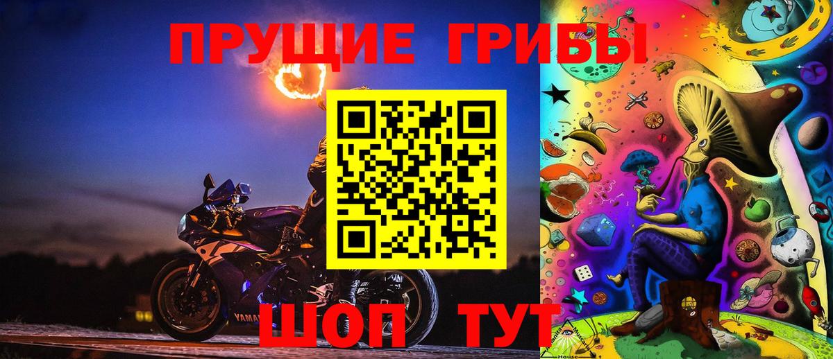 Галлюциногенные грибы прущие грибы  Вход с VPN  Псков 